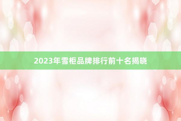 2023年雪柜品牌排行前十名揭晓