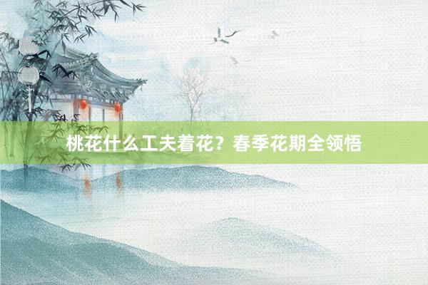 桃花什么工夫着花？春季花期全领悟